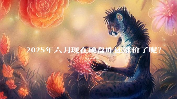 2025年六月现在硬盘咋还涨价了呢？